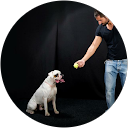 NIKOLAS KANAVAROS profile picture